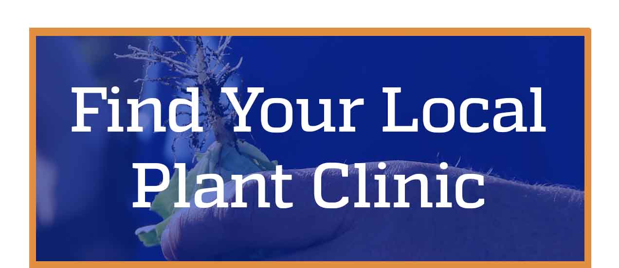 find your local plant clinic